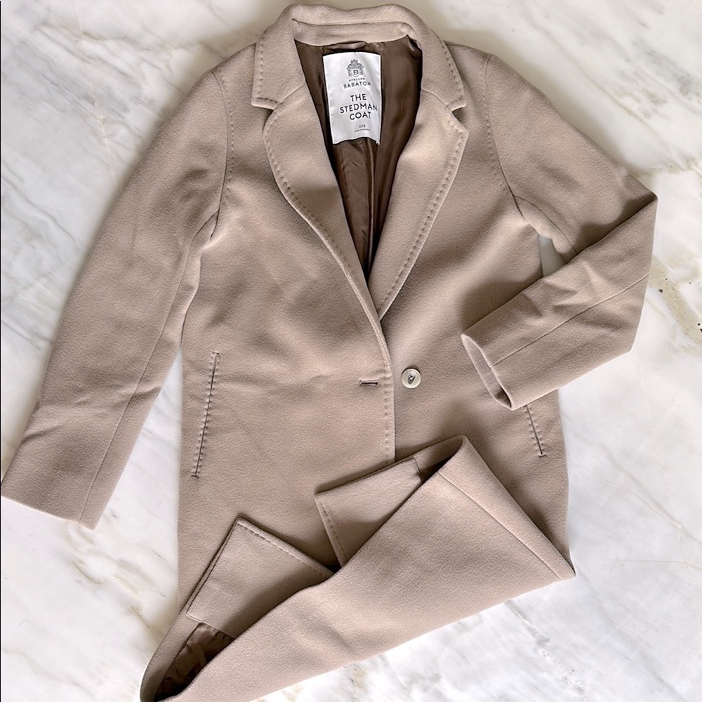 Aritzia Babaton Coat